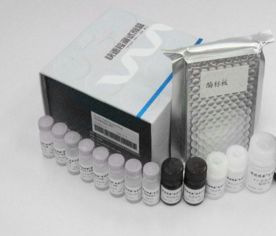 上海 产品 价格第10538页