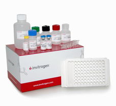 rt il 2 elisa kit