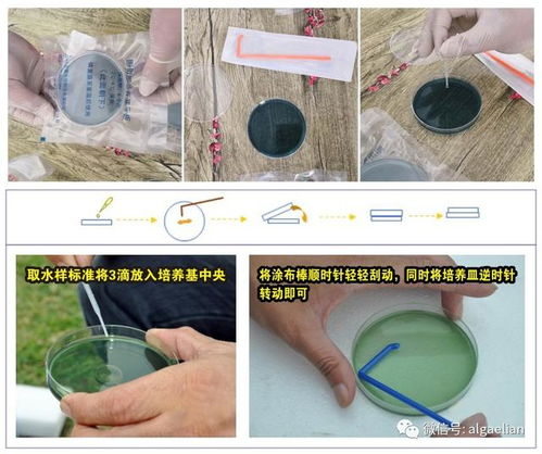 水产养殖弧菌等有害菌检测试剂盒 简单方便操作