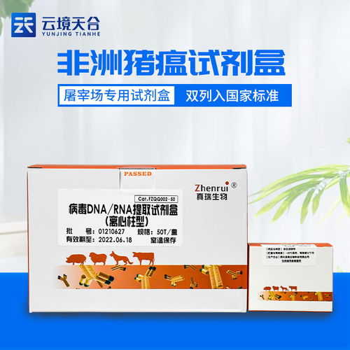 环境检测非洲猪瘟试剂盒 病原感染检测的非洲猪瘟检测试剂盒