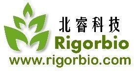 供应IGFBP-1 试剂盒价格_供应IGFBP-1 试剂盒厂家_世界工厂网产品信息库